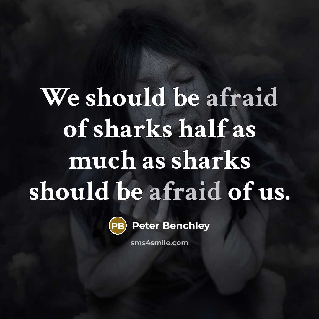 “We should be afraid of sharks half as much as sharks should be afraid of us.” quote by Peter Benchley