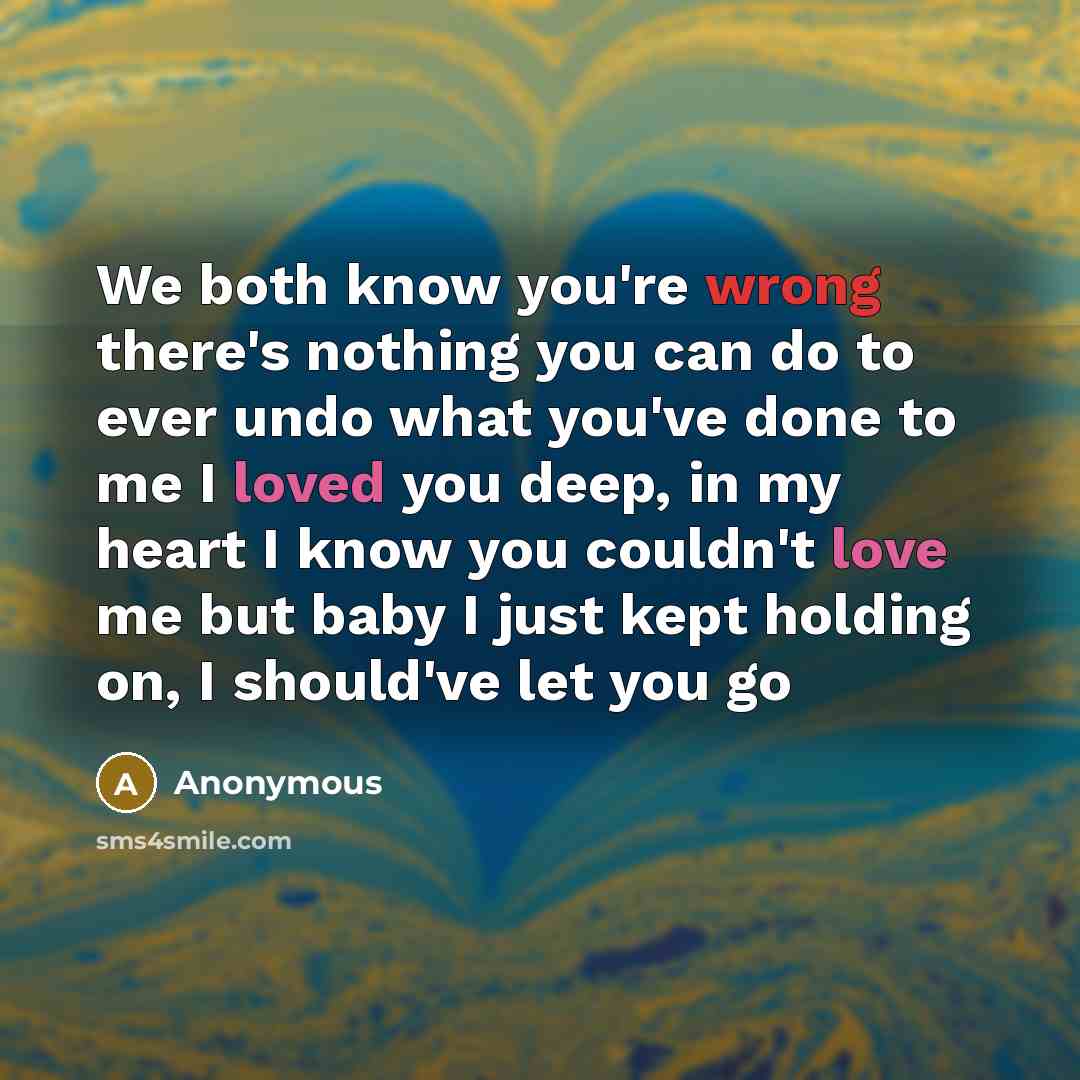 “We both know you're wrong there's nothing you can do to ever undo what you've done to me I loved you deep, in my heart I know you couldn't love me but baby I just kept holding on, I should've let you go” quote by Anonymous
