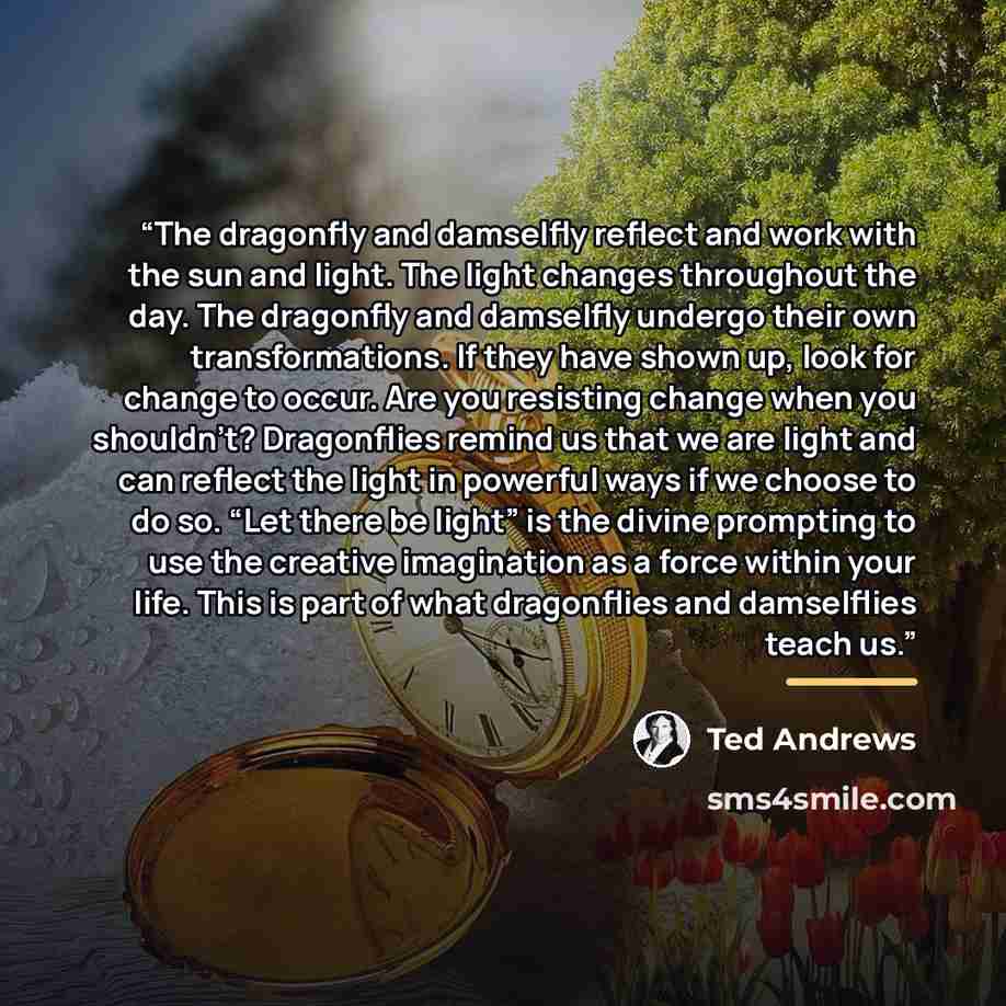 “The dragonfly and damselfly reflect and work with the sun and light. The light changes throughout the day. The dragonfly and damselfly undergo their own transformations. If they have shown up, look for change to occur. Are you resisting change when you shouldn’t? Dragonflies remind us that we are…” quote by Ted Andrews