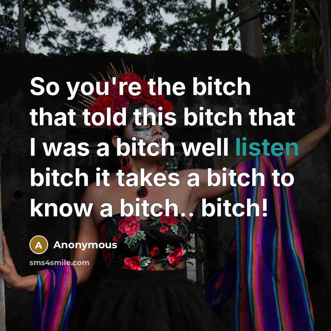 “So you're the bitch that told this bitch that I was a bitch well listen bitch it takes a bitch to know a bitch.. bitch!” quote by Anonymous