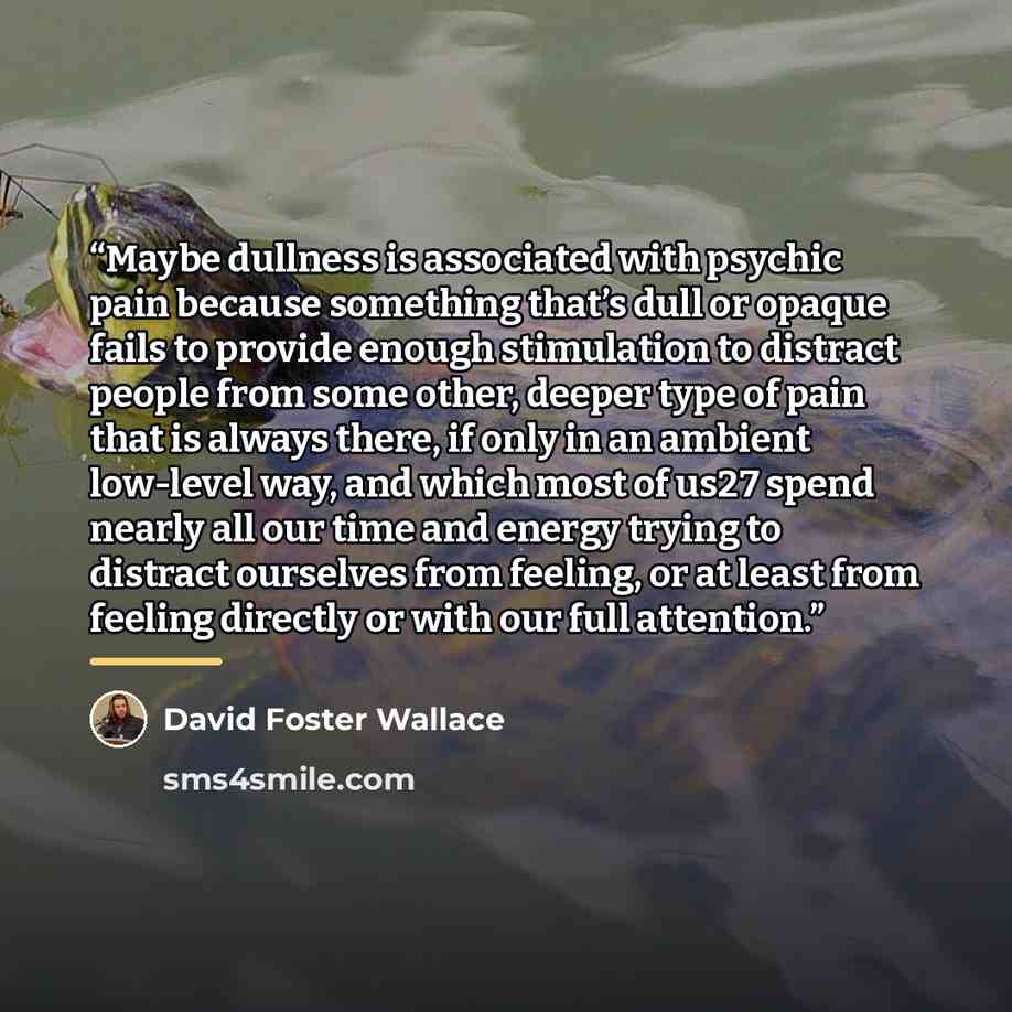 “Maybe dullness is associated with psychic pain because something that’s dull or opaque fails to provide enough stimulation to distract people from some other, deeper type of pain that is always there, if only in an ambient low-level way, and which most of us27 spend nearly all our time and energy…” quote by David Foster Wallace
