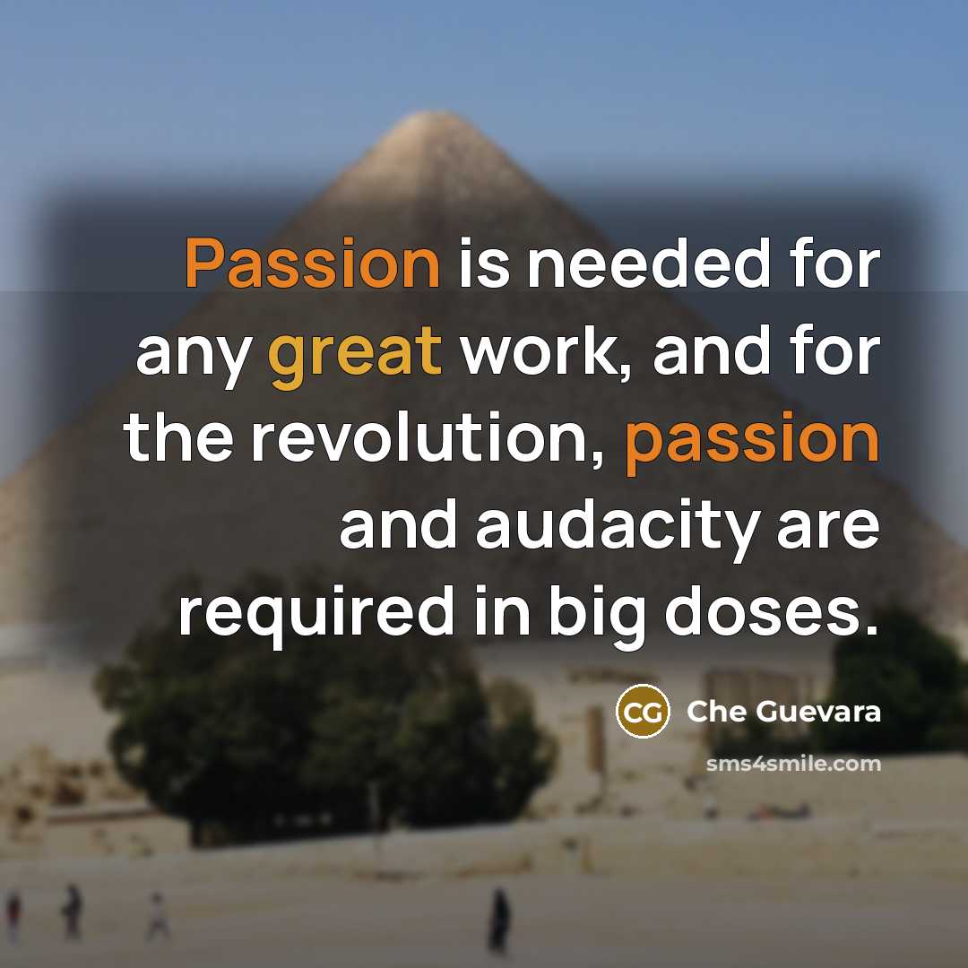 “Passion is needed for any great work, and for the revolution, passion and audacity are required in big doses.” quote by Che Guevara