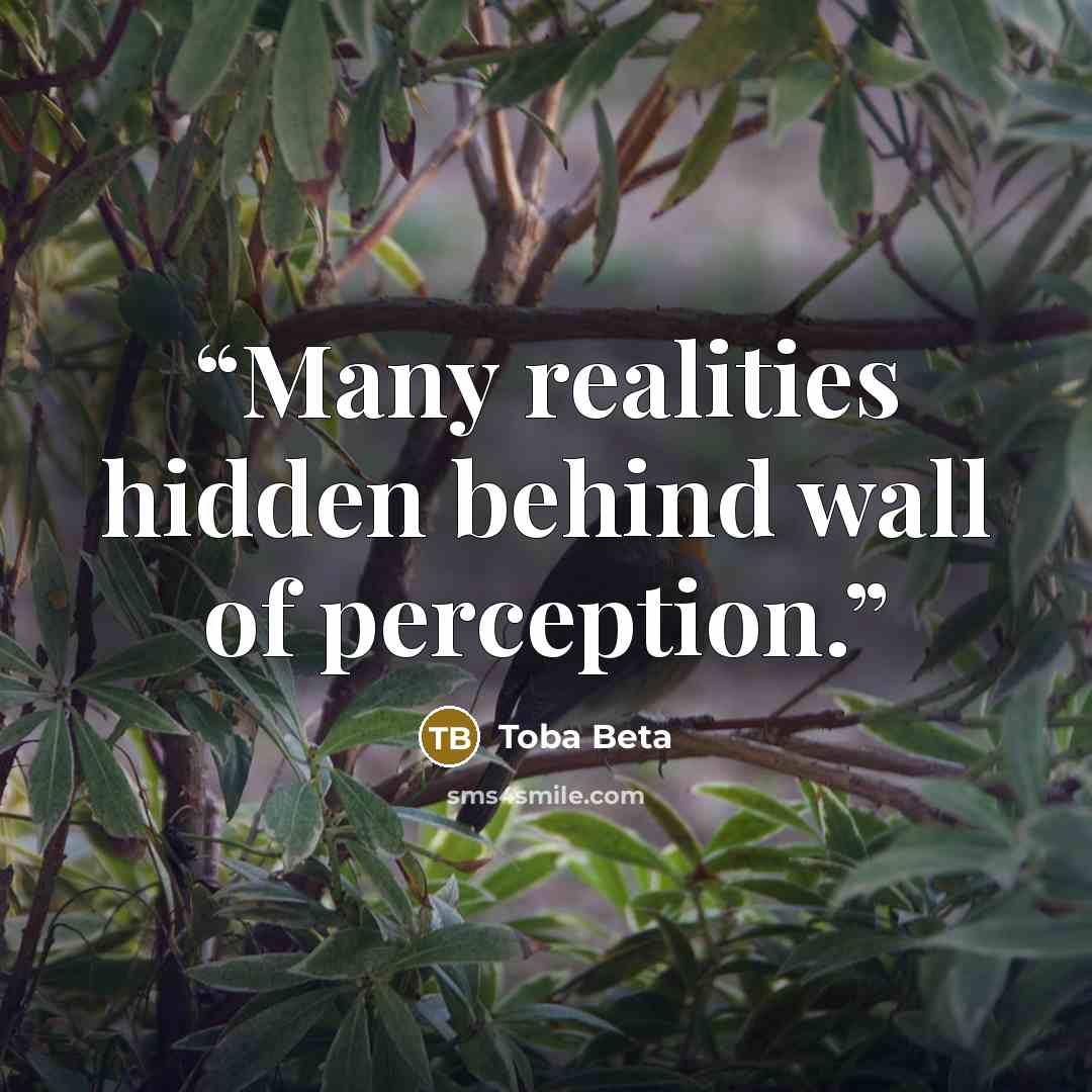 “Many realities hidden behind wall of perception.” quote by Toba Beta