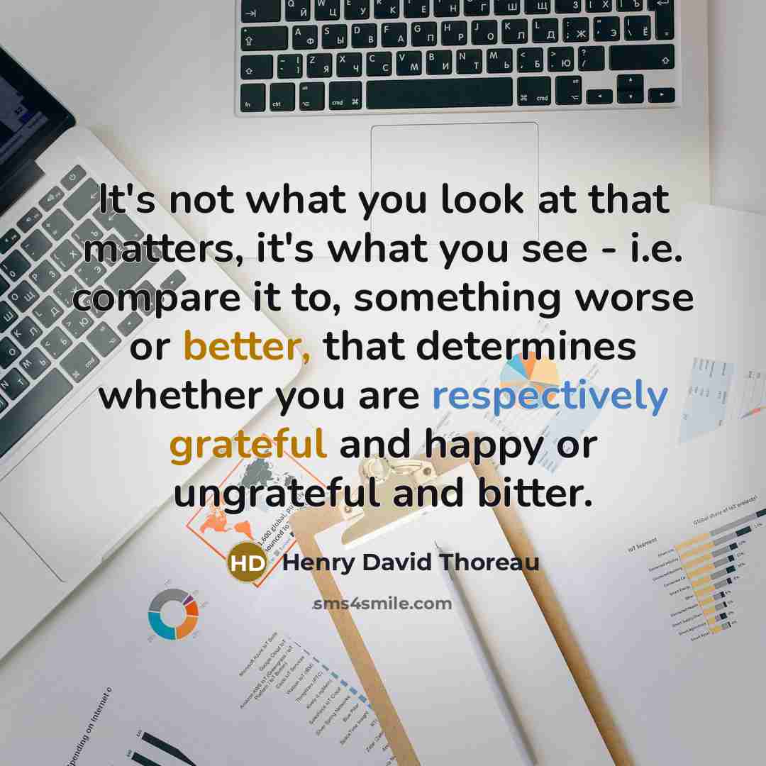 “It's not what you look at that matters, it's what you see - i.e. compare it to, something worse or better, that determines whether you are respectively grateful and happy or ungrateful and bitter.” quote by Henry David Thoreau