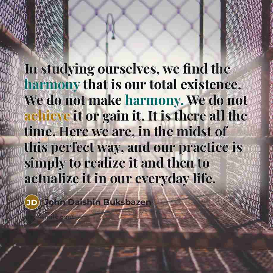 “In studying ourselves, we find the harmony that is our total existence. We do not make harmony. We do not achieve it or gain it. It is there all the time. Here we are, in the midst of this perfect way, and our practice is simply to realize it and then to actualize it in our everyday life.” quote by John Daishin Buksbazen