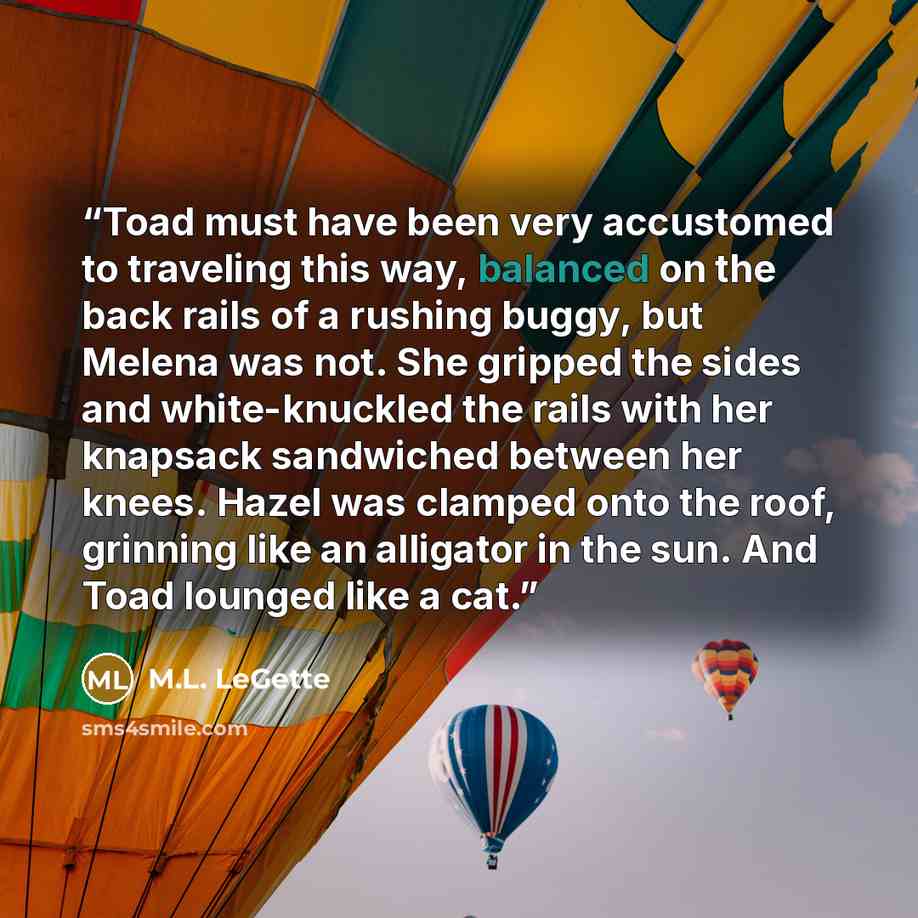 “Toad must have been very accustomed to traveling this way, balanced on the back rails of a rushing buggy, but Melena was not. She gripped the sides and white-knuckled the rails with her knapsack sandwiched between her knees. Hazel was clamped onto the roof, grinning like an alligator in the sun…” quote by M.L. LeGette