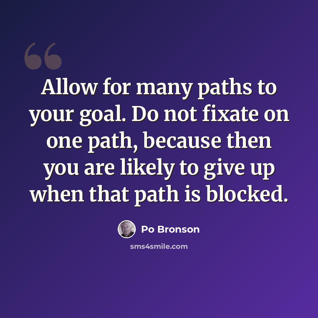 “Allow for many paths to your goal. Do not fixate on one path, because then you are likely to give up when that path is blocked.” quote by Po Bronson