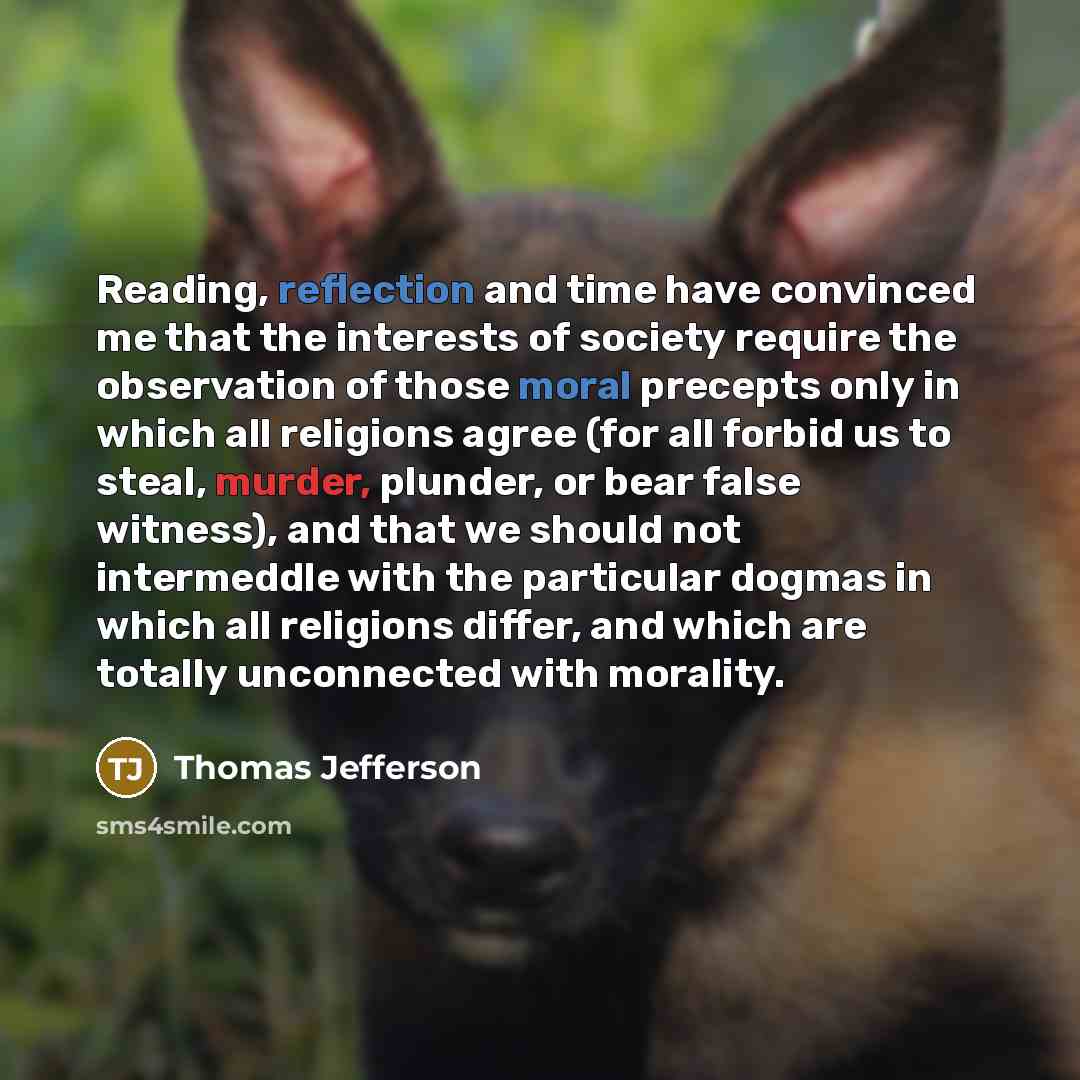 “Reading, reflection and time have convinced me that the interests of society require the observation of those moral precepts only in which all religions agree (for all forbid us to steal, murder, plunder, or bear false witness), and that we should not intermeddle with the particular dogmas in…” quote by Thomas Jefferson