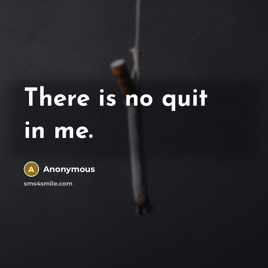 “There is no quit in me.” quote by Anonymous