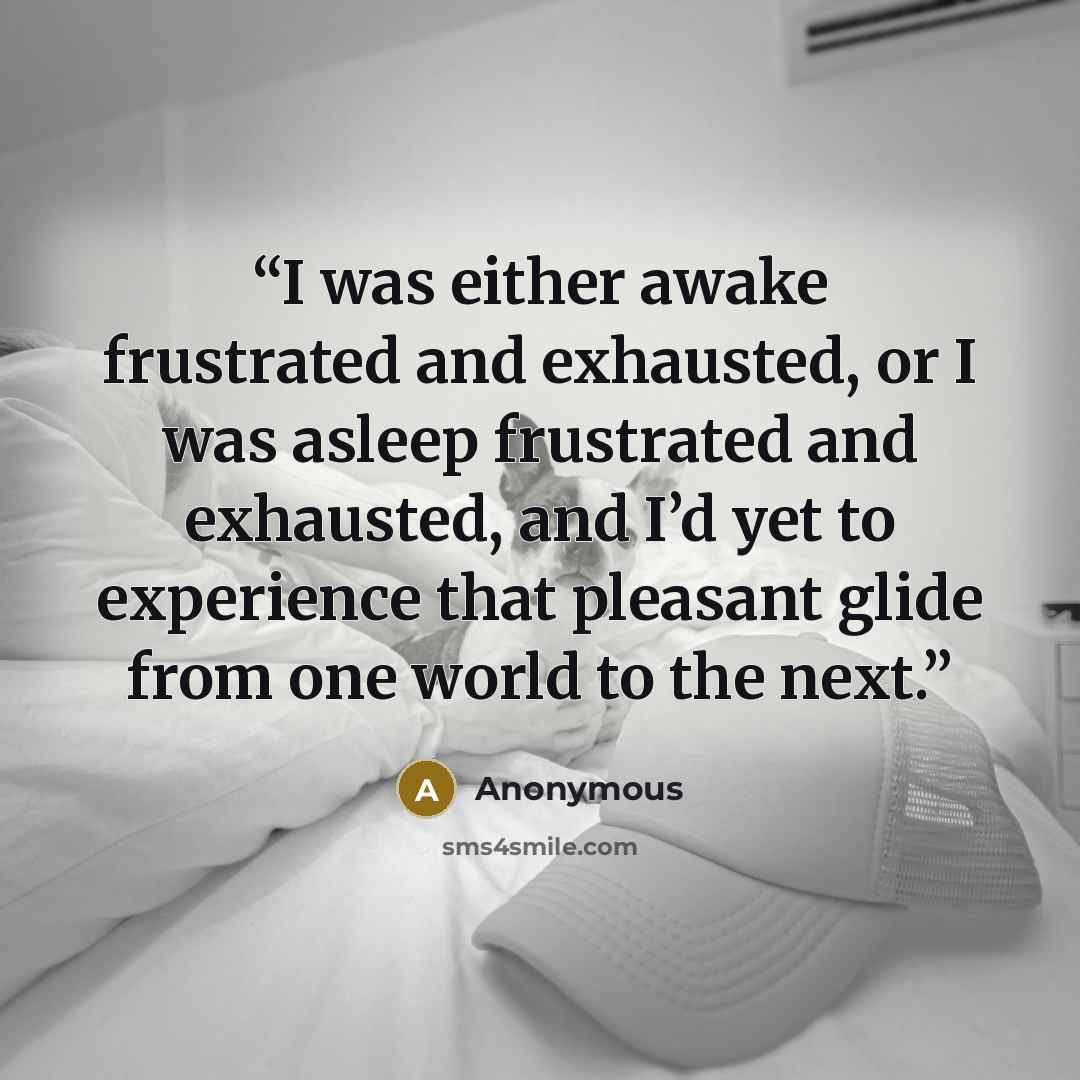 “I was either awake frustrated and exhausted, or I was asleep frustrated and exhausted, and I’d yet to experience that pleasant glide from one world to the next.” quote by Anonymous