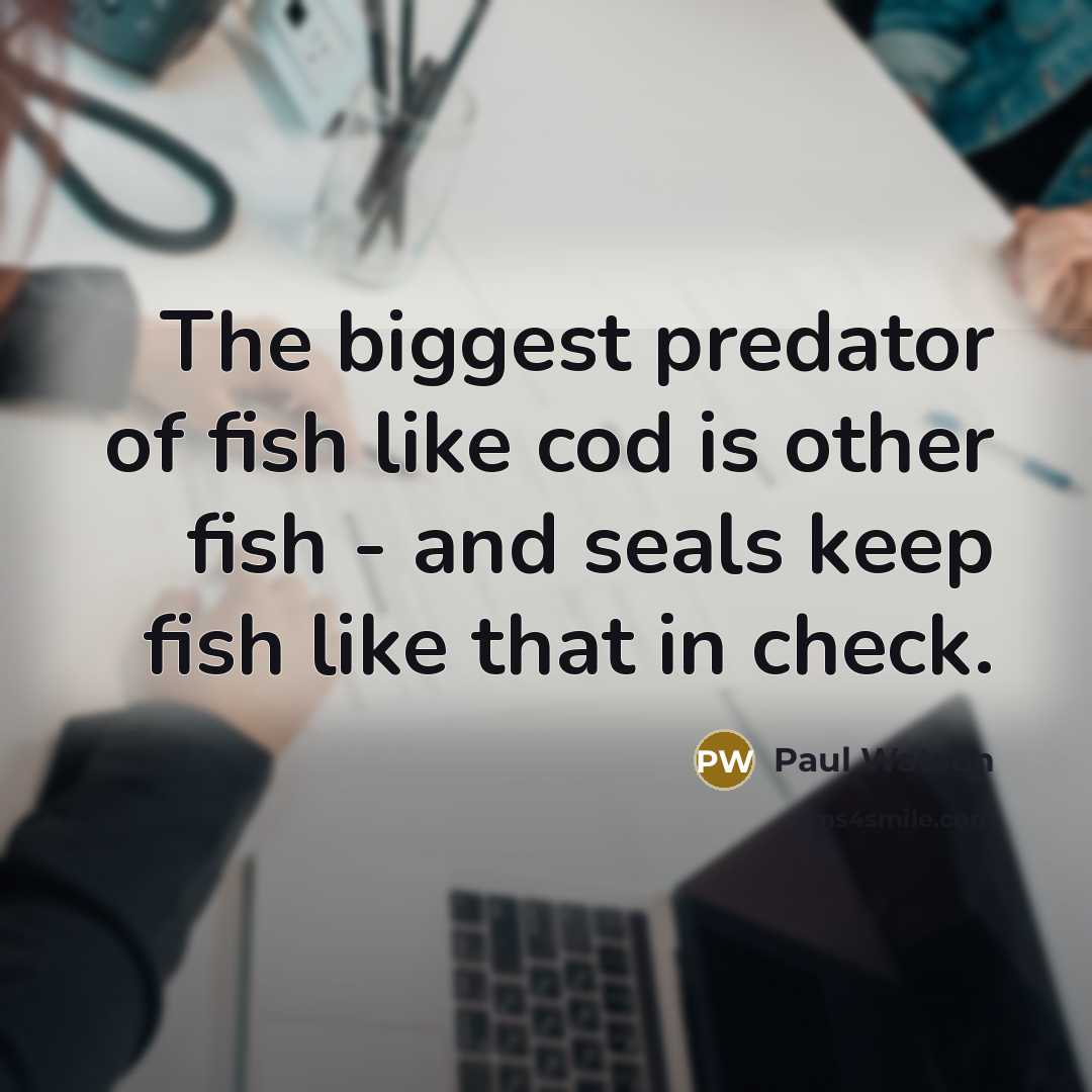 “The biggest predator of fish like cod is other fish - and seals keep fish like that in check.” quote by Paul Watson