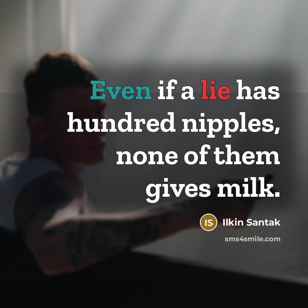 “Even if a lie has hundred nipples, none of them gives milk.” quote by Ilkin Santak