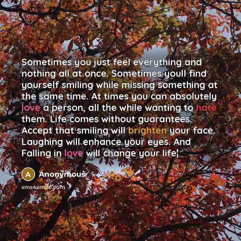 “Sometimes you just feel everything and nothing all at once. Sometimes youll find yourself smiling while missing something at the same time. At times you can absolutely love a person, all the while wanting to hate them. Life comes without guarantees. Accept that smiling will brighten your face…” quote by Anonymous