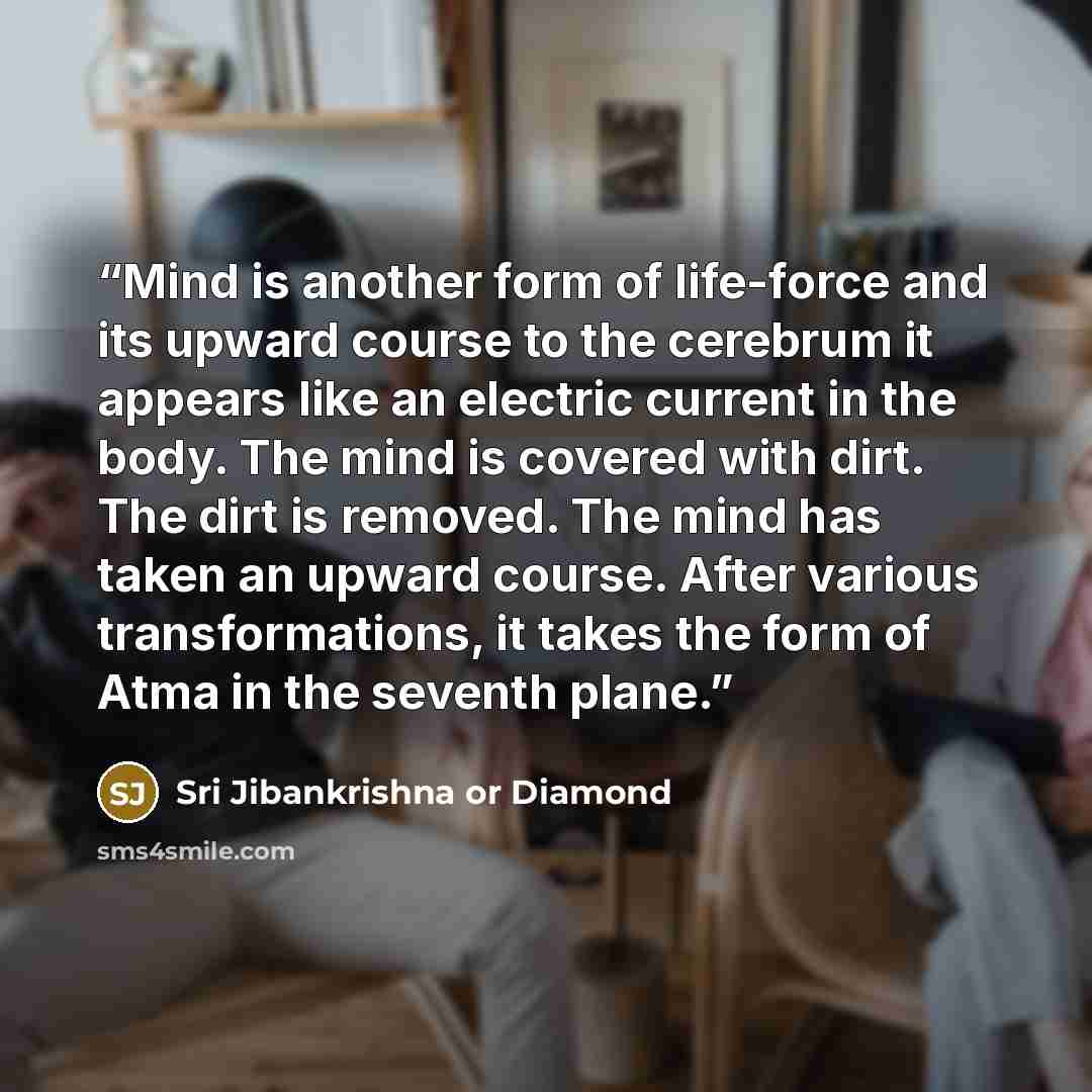 “Mind is another form of life-force and its upward course to the cerebrum it appears like an electric current in the body. The mind is covered with dirt. The dirt is removed. The mind has taken an upward course. After various transformations, it takes the form of Atma in the seventh plane.” quote by Sri Jibankrishna or Diamond