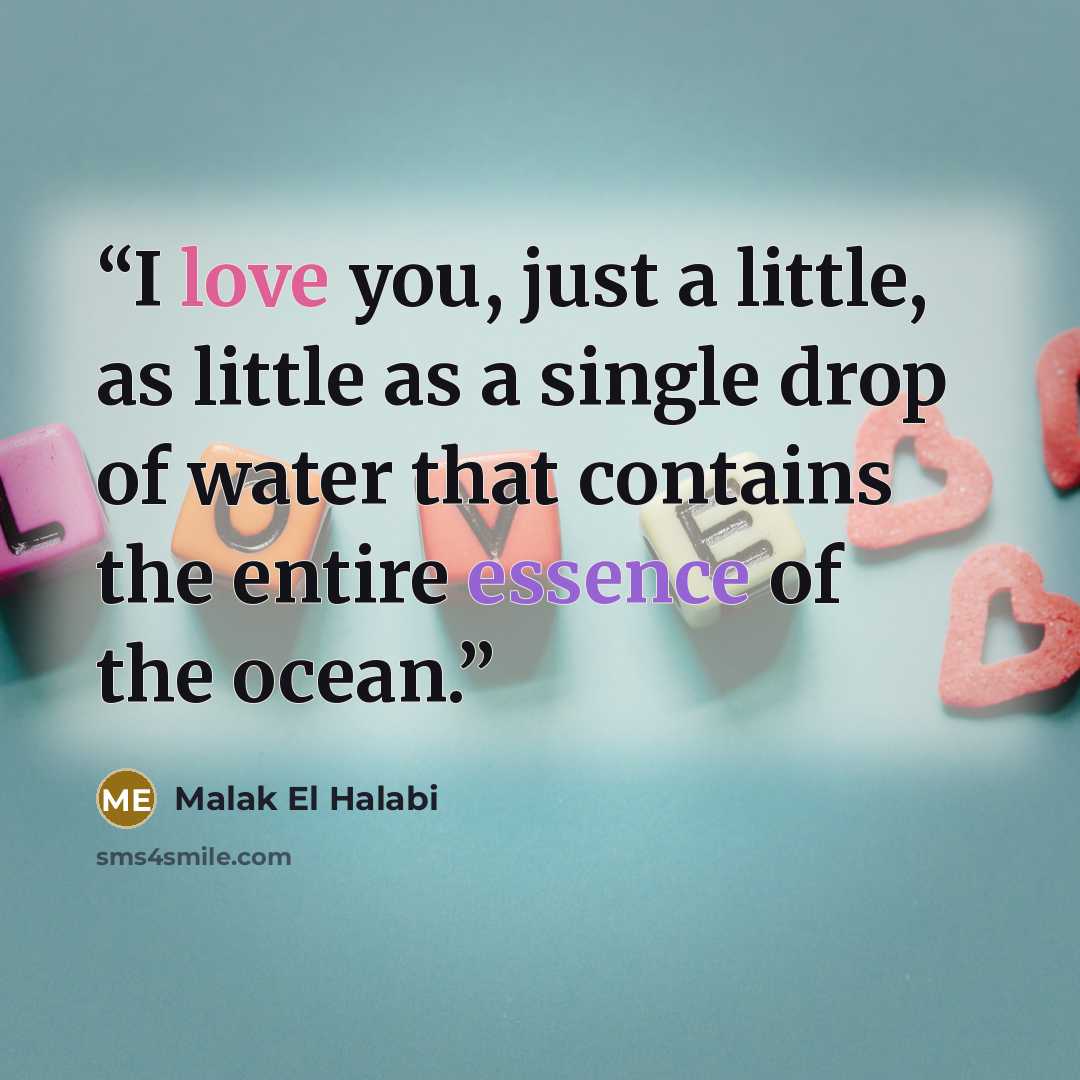 “I love you, just a little, as little as a single drop of water that contains the entire essence of the ocean.” quote by Malak El Halabi