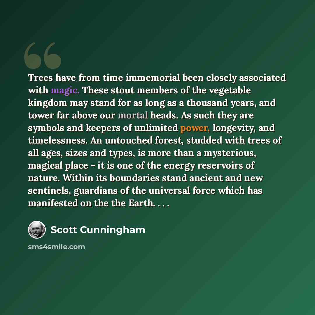 “Trees have from time immemorial been closely associated with magic. These stout members of the vegetable kingdom may stand for as long as a thousand years, and tower far above our mortal heads. As such they are symbols and keepers of unlimited power, longevity, and timelessness. An untouched…” quote by Scott Cunningham