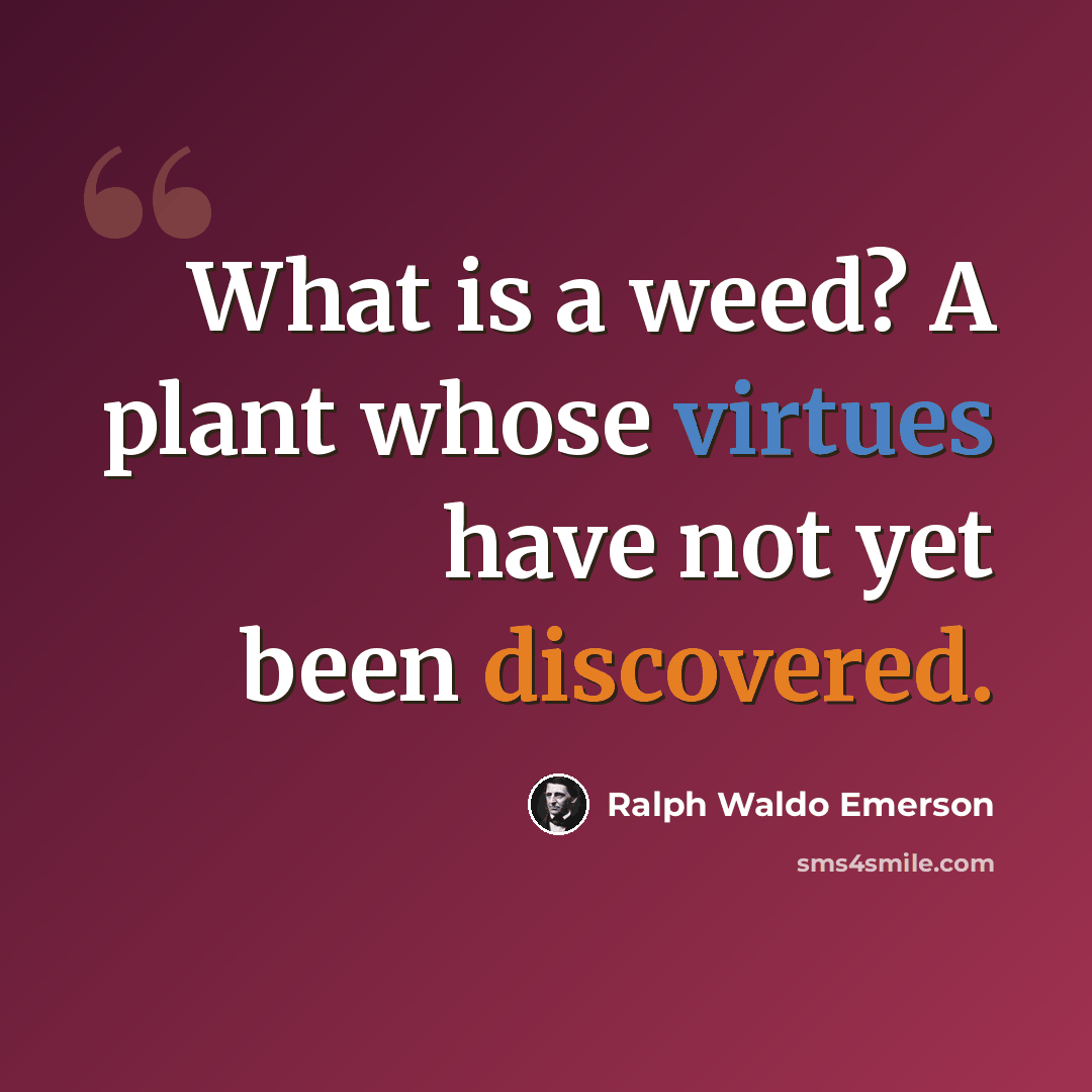 “What is a weed? A plant whose virtues have not yet been discovered.” quote by Ralph Waldo Emerson