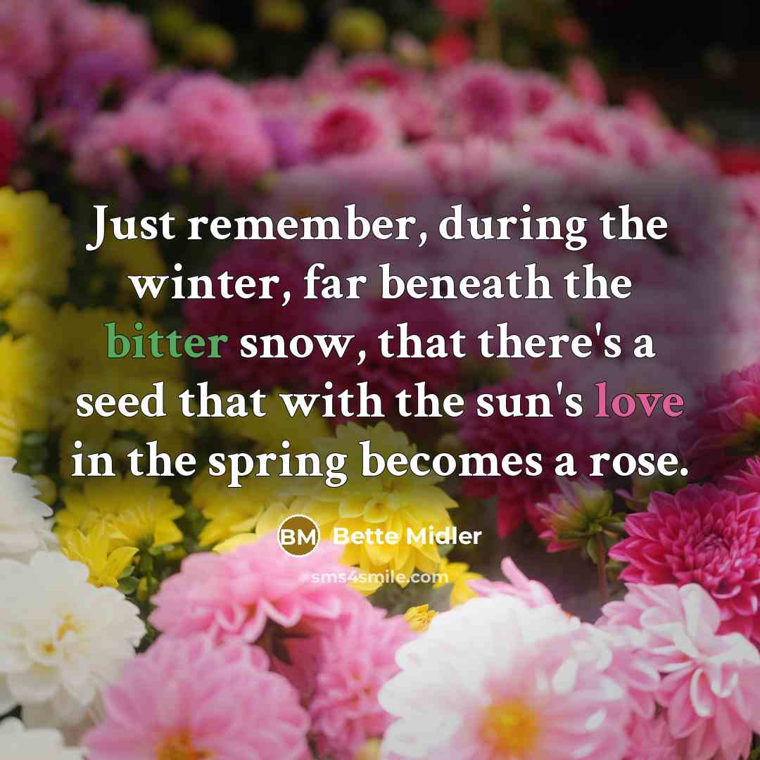 “Just remember, during the winter, far beneath the bitter snow, that there's a seed that with the sun's love in the spring becomes a rose.” quote by Bette Midler