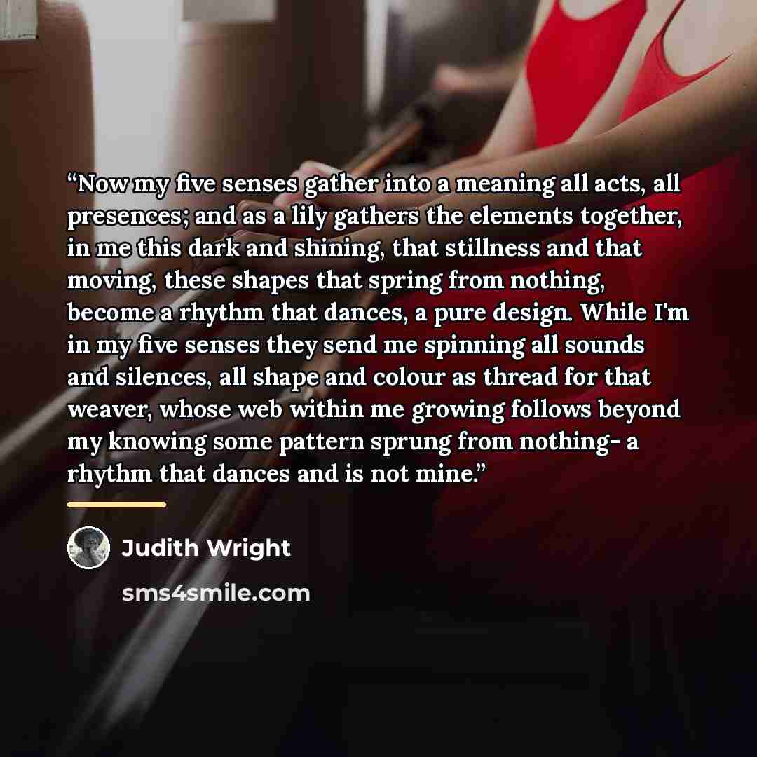 “Now my five senses gather into a meaning all acts, all presences; and as a lily gathers the elements together, in me this dark and shining, that stillness and that moving, these shapes that spring from nothing, become a rhythm that dances, a pure design. While I'm in my five senses they send me…” quote by Judith Wright
