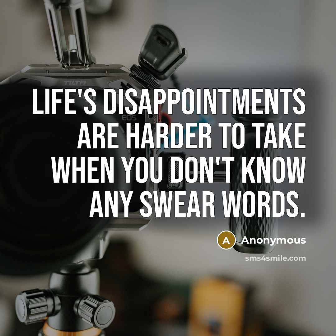 “Life's disappointments are harder to take when you don't know any swear words.” quote by Anonymous