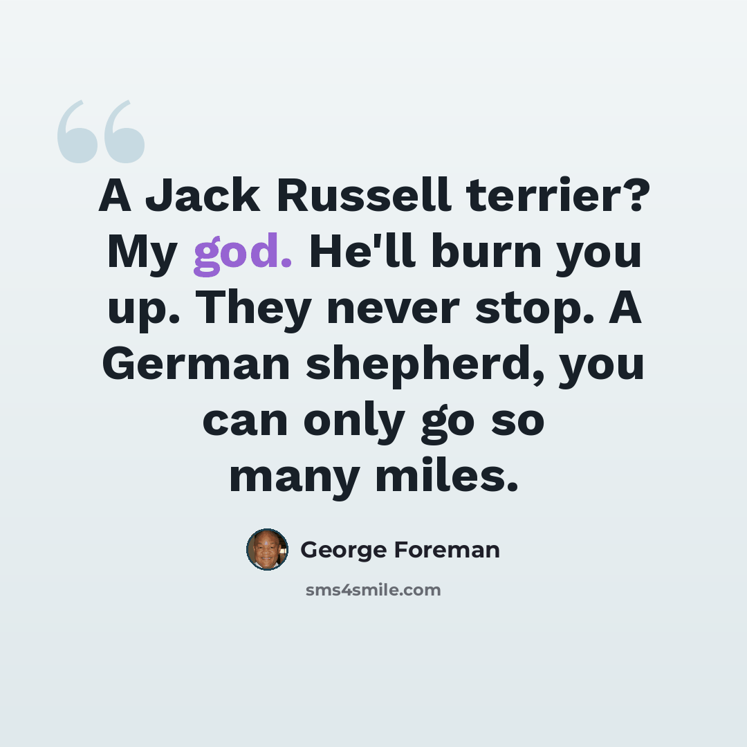 “A Jack Russell terrier? My god. He'll burn you up. They never stop. A German shepherd, you can only go so many miles.” quote by George Foreman