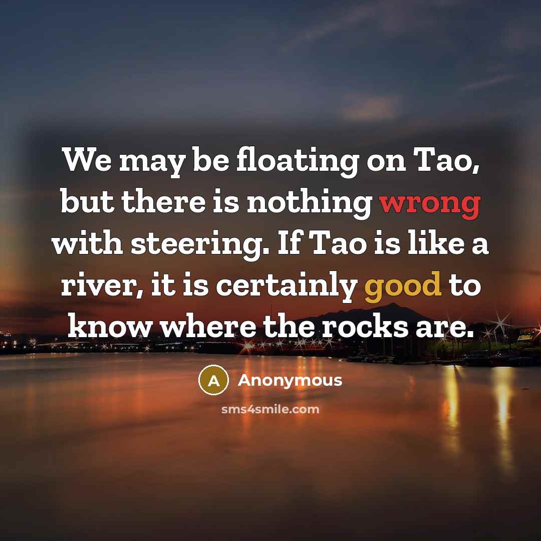“We may be floating on Tao, but there is nothing wrong with steering. If Tao is like a river, it is certainly good to know where the rocks are.” quote by Anonymous