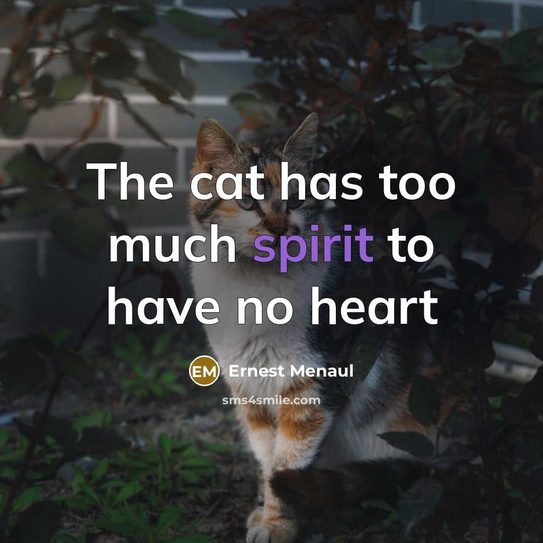 “The cat has too much spirit to have no heart” quote by Ernest Menaul