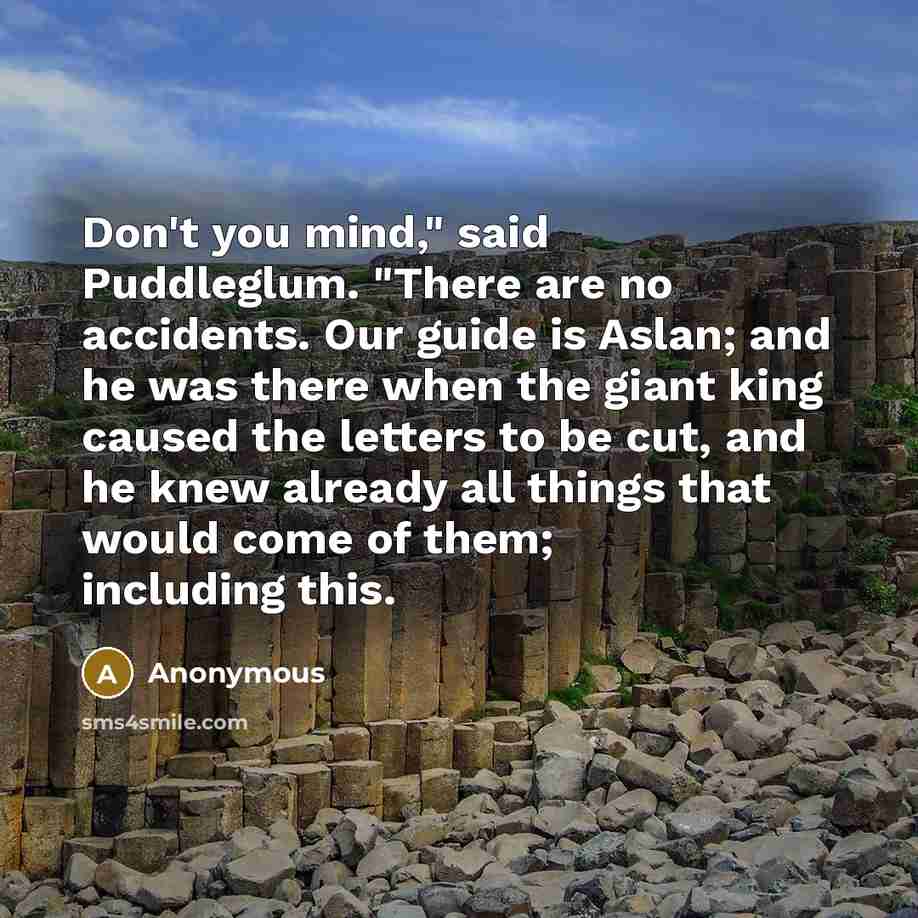 “Don't you mind," said Puddleglum. "There are no accidents. Our guide is Aslan; and he was there when the giant king caused the letters to be cut, and he knew already all things that would come of them; including this.” quote by Anonymous
