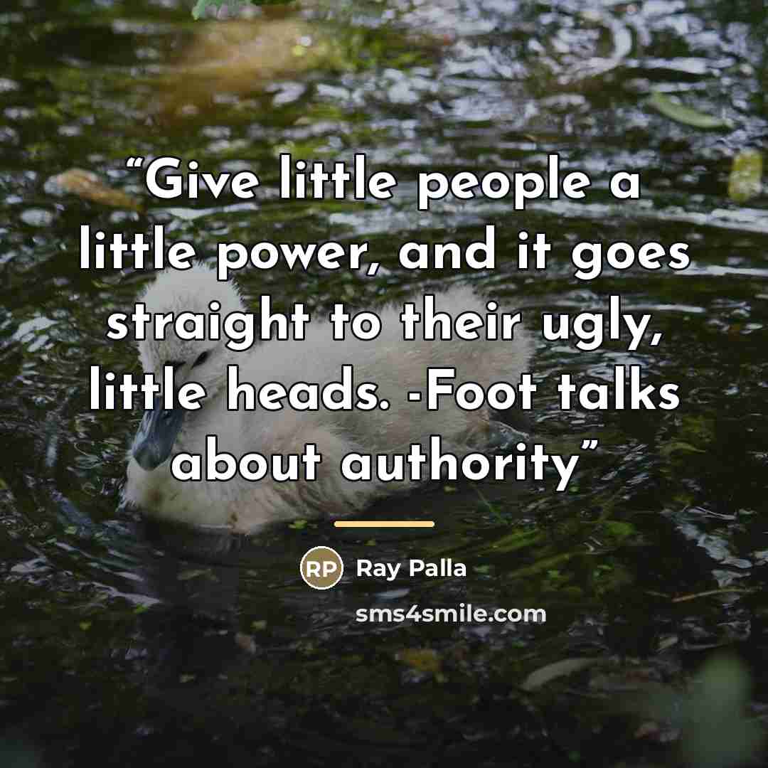 “Give little people a little power, and it goes straight to their ugly, little heads. -Foot talks about authority” quote by Ray Palla