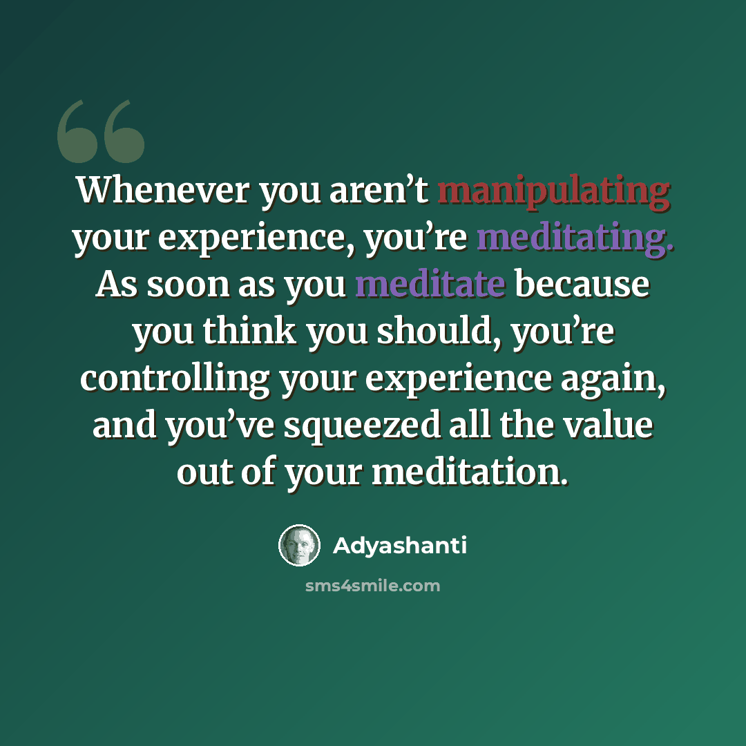 “Whenever you aren’t manipulating your experience, you’re meditating. As soon as you meditate because you think you should, you’re controlling your experience again, and you’ve squeezed all the value out of your meditation.” quote by Adyashanti