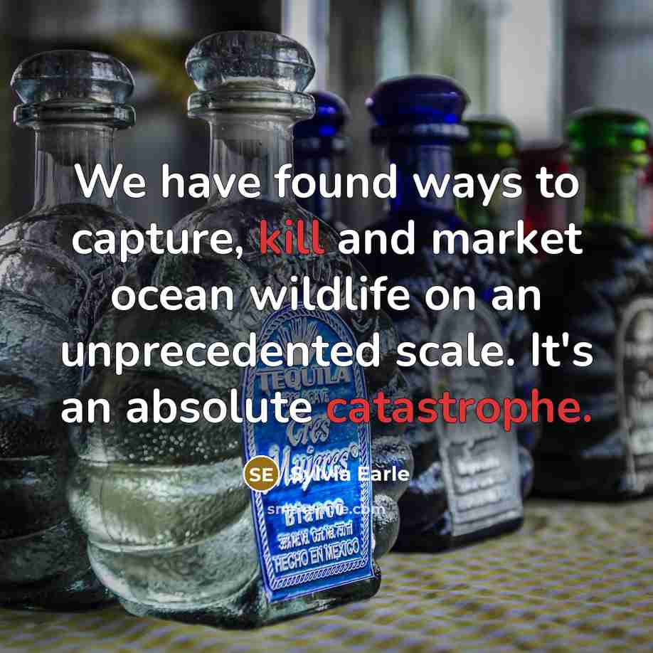 “We have found ways to capture, kill and market ocean wildlife on an unprecedented scale. It's an absolute catastrophe.” quote by Sylvia Earle