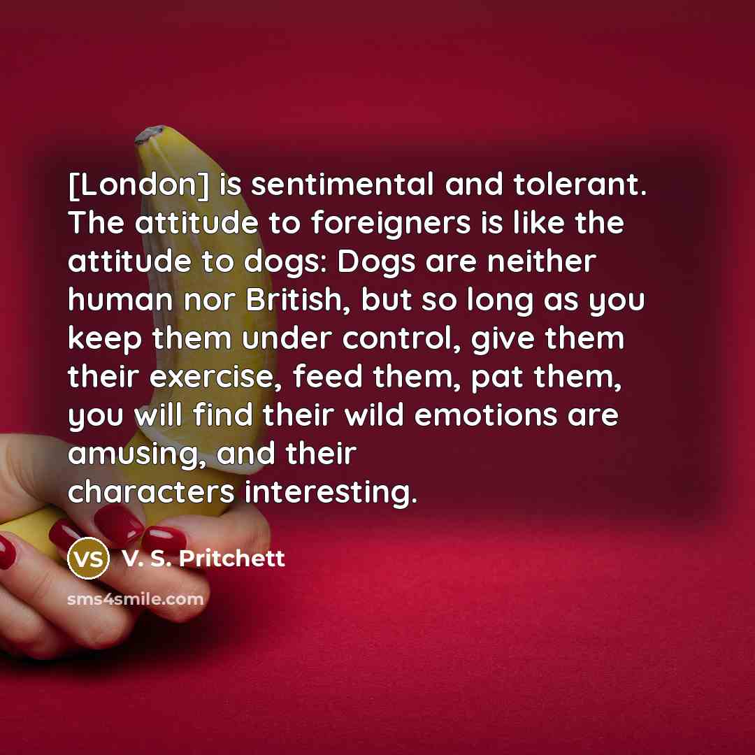 “[London] is sentimental and tolerant. The attitude to foreigners is like the attitude to dogs: Dogs are neither human nor British, but so long as you keep them under control, give them their exercise, feed them, pat them, you will find their wild emotions are amusing, and their characters…” quote by V. S. Pritchett