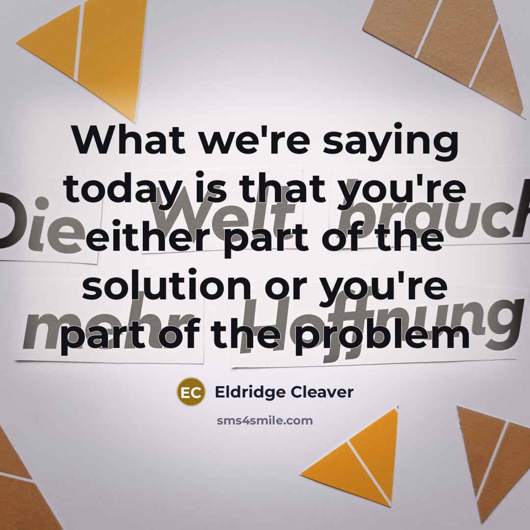 “What we're saying today is that you're either part of the solution or you're part of the problem” quote by Eldridge Cleaver