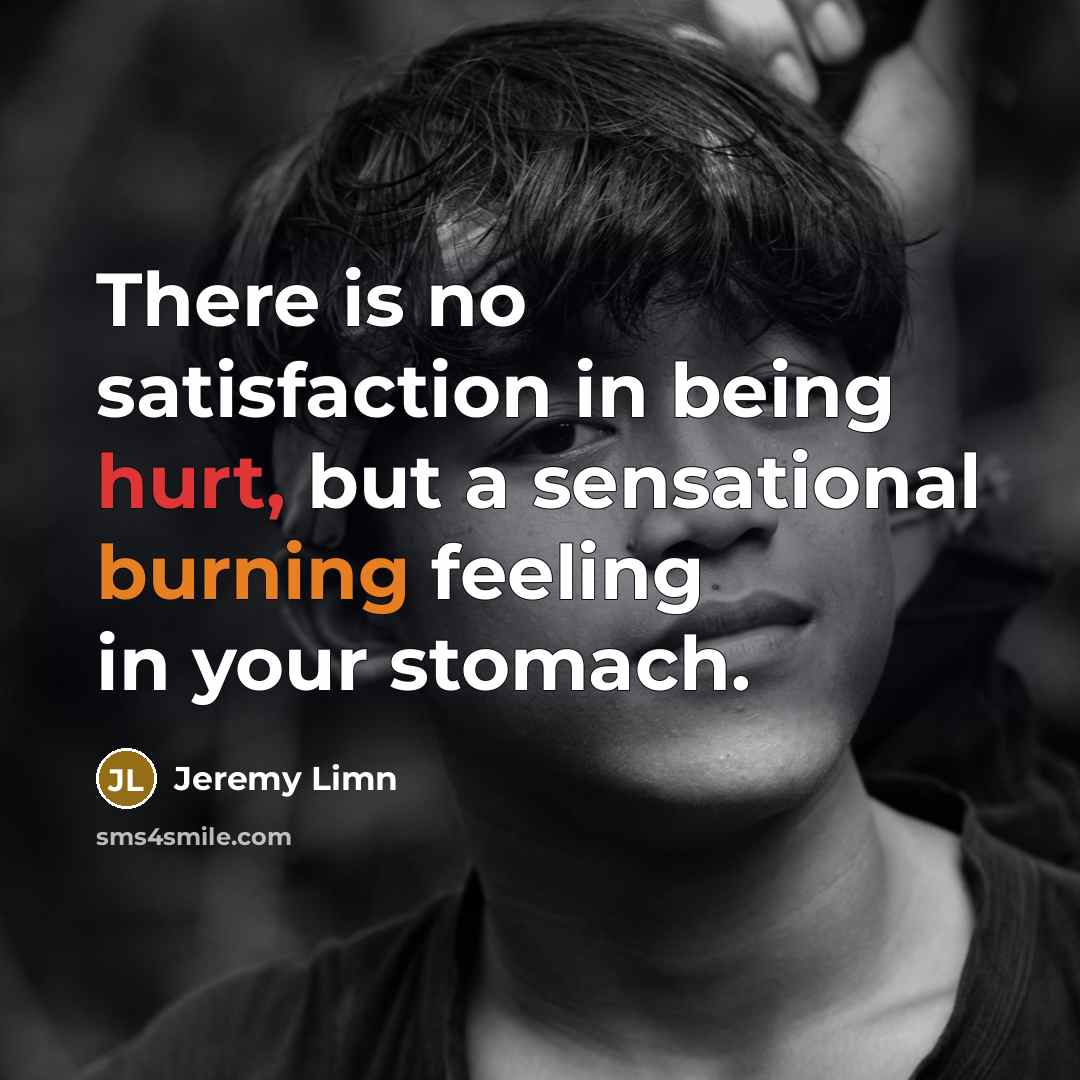 “There is no satisfaction in being hurt, but a sensational burning feeling in your stomach.” quote by Jeremy Limn