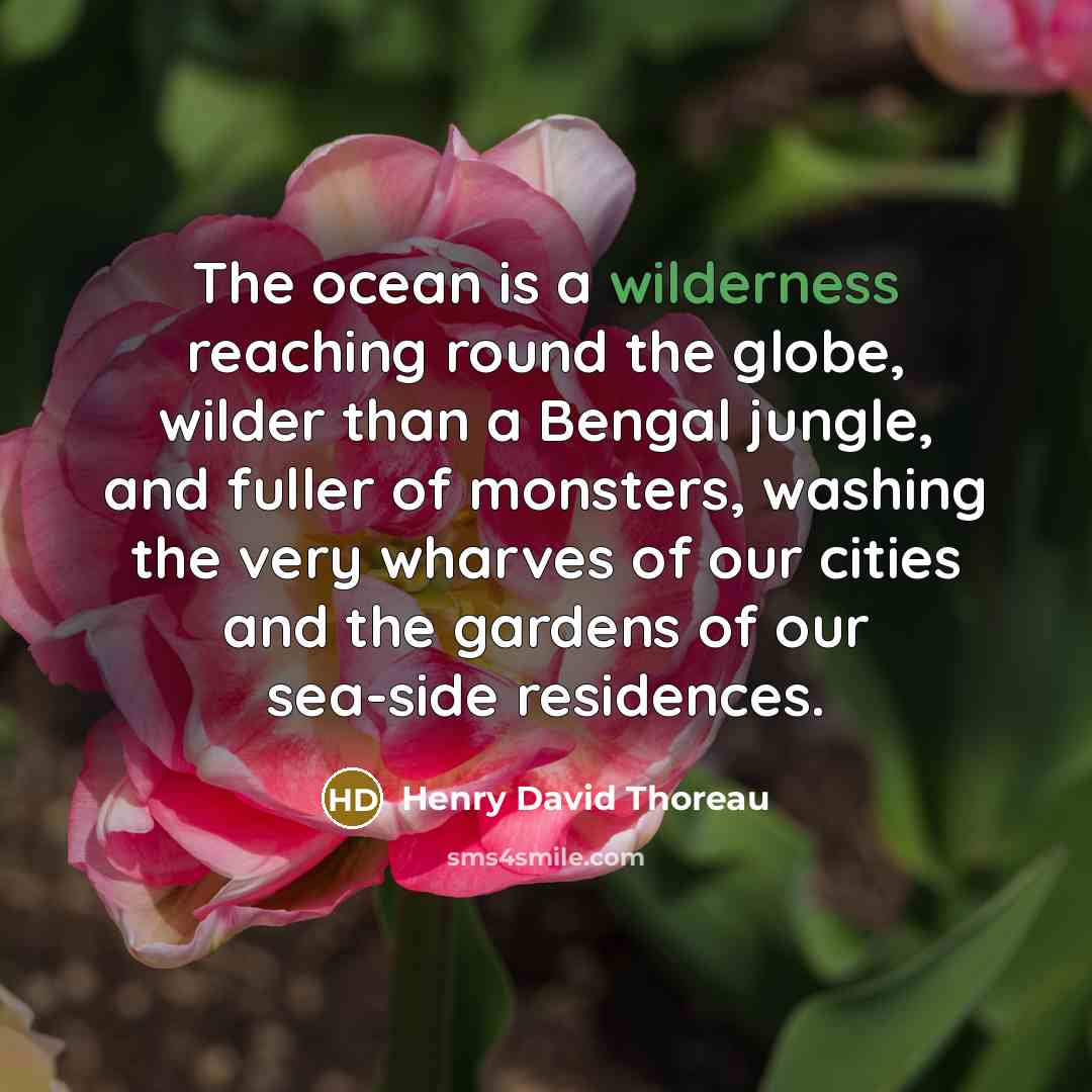 “The ocean is a wilderness reaching round the globe, wilder than a Bengal jungle, and fuller of monsters, washing the very wharves of our cities and the gardens of our sea-side residences.” quote by Henry David Thoreau