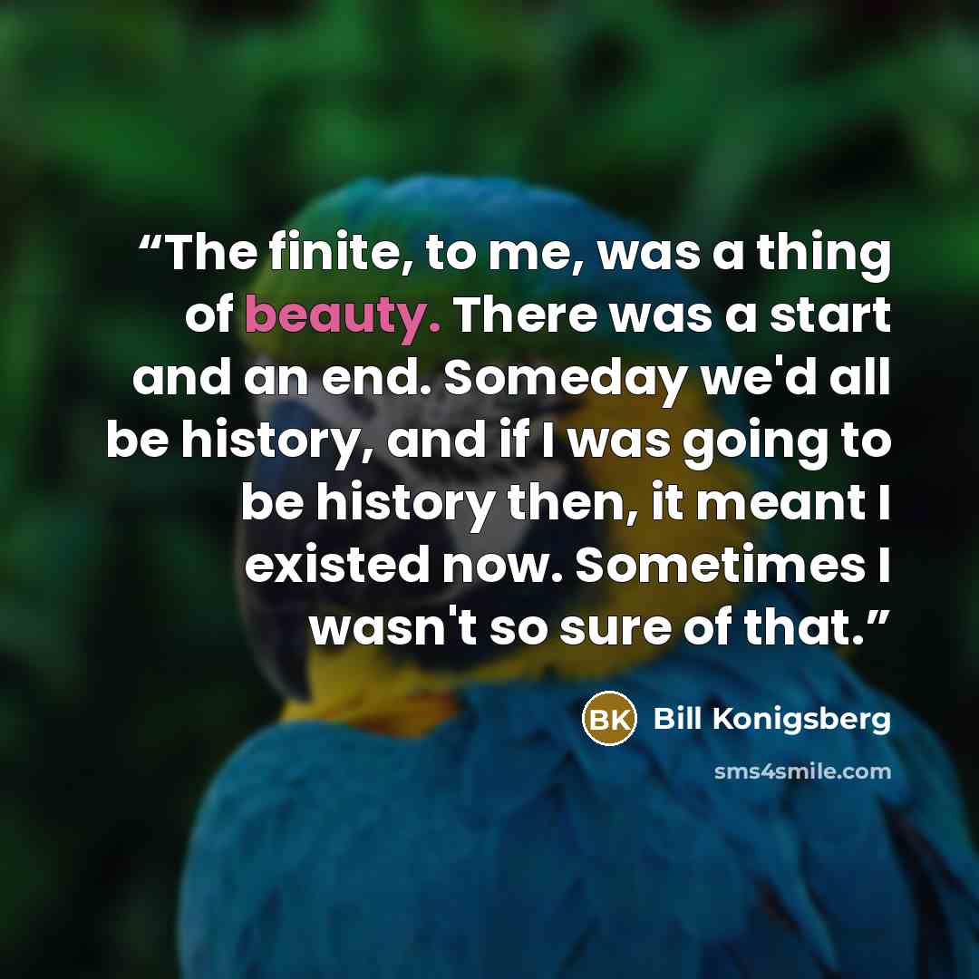 “The finite, to me, was a thing of beauty. There was a start and an end. Someday we'd all be history, and if I was going to be history then, it meant I existed now. Sometimes I wasn't so sure of that.” quote by Bill Konigsberg