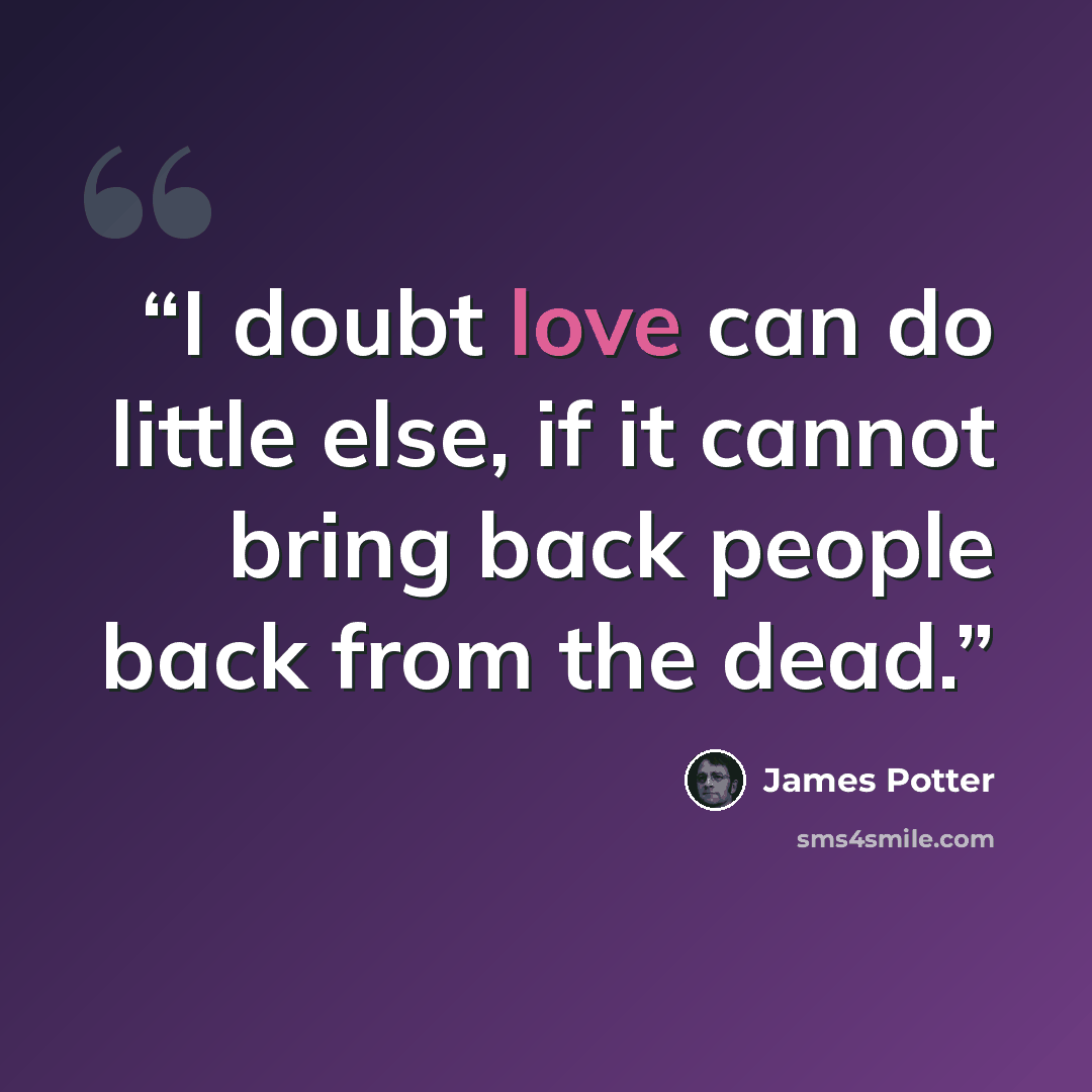 “I doubt love can do little else, if it cannot bring back people back from the dead.” quote by James Potter