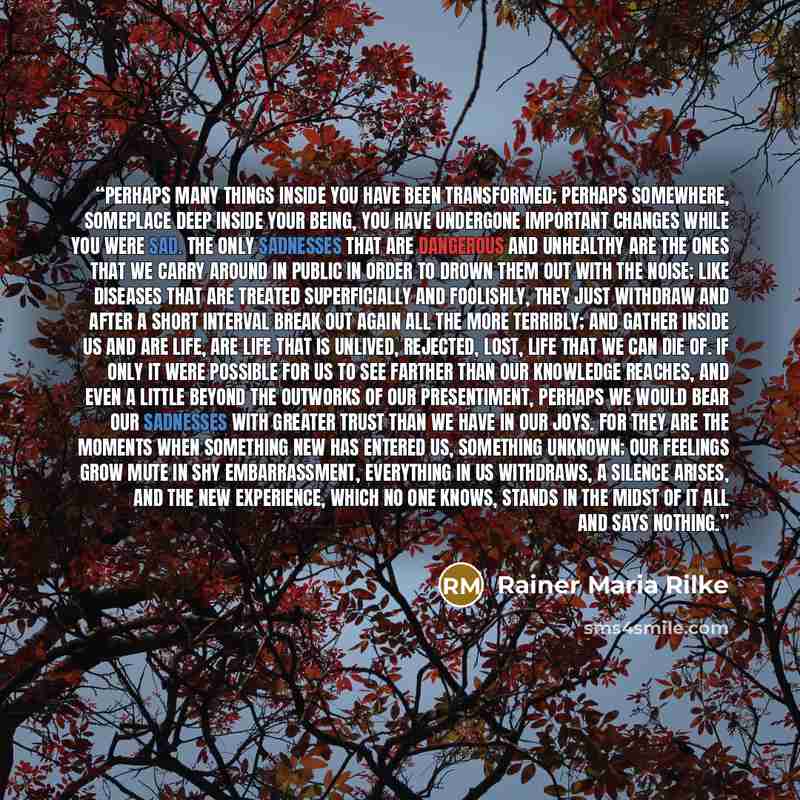 “Perhaps many things inside you have been transformed; perhaps somewhere, someplace deep inside your being, you have undergone important changes while you were sad. The only sadnesses that are dangerous and unhealthy are the ones that we carry around in public in order to drown them out with the…” quote by Rainer Maria Rilke