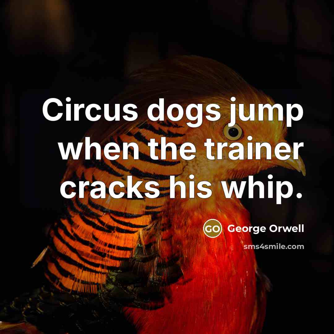 “Circus dogs jump when the trainer cracks his whip.” quote by George Orwell