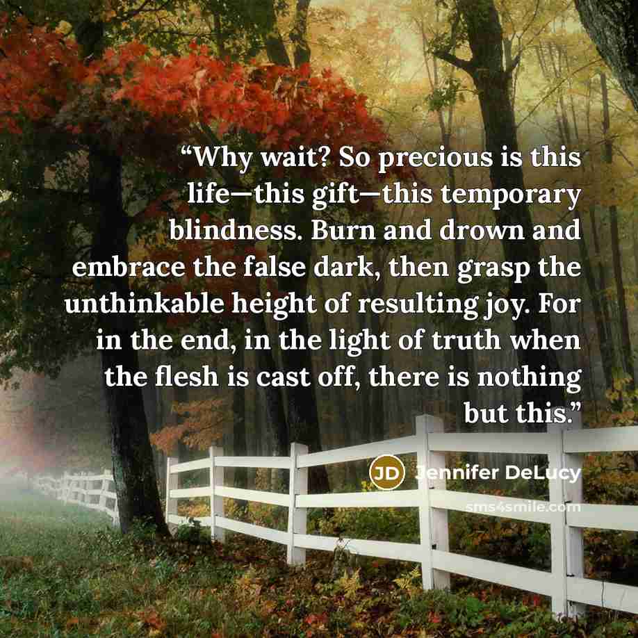 “Why wait? So precious is this life—this gift—this temporary blindness. Burn and drown and embrace the false dark, then grasp the unthinkable height of resulting joy. For in the end, in the light of truth when the flesh is cast off, there is nothing but this.” quote by Jennifer DeLucy