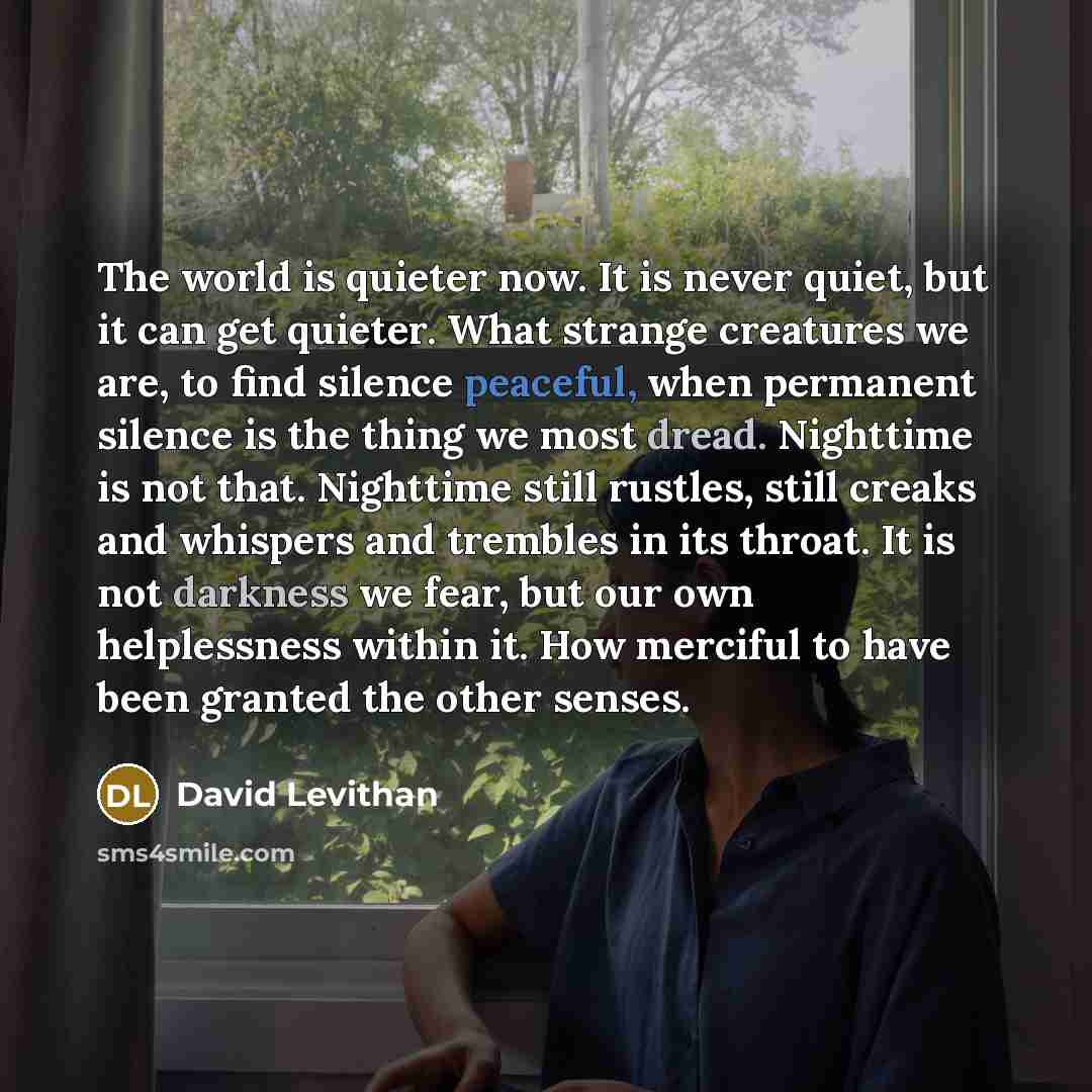 “The world is quieter now. It is never quiet, but it can get quieter. What strange creatures we are, to find silence peaceful, when permanent silence is the thing we most dread. Nighttime is not that. Nighttime still rustles, still creaks and whispers and trembles in its throat. It is not darkness…” quote by David Levithan