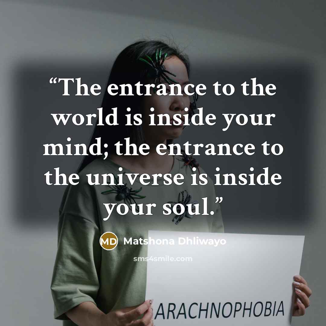 “The entrance to the world is inside your mind; the entrance to the universe is inside your soul.” quote by Matshona Dhliwayo