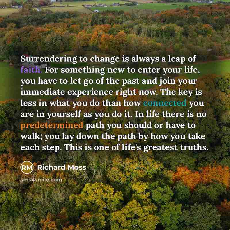 “Surrendering to change is always a leap of faith. For something new to enter your life, you have to let go of the past and join your immediate experience right now. The key is less in what you do than how connected you are in yourself as you do it. In life there is no predetermined path you should…” quote by Richard Moss