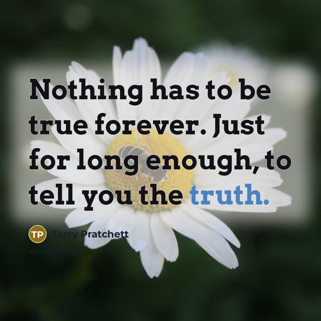 “Nothing has to be true forever. Just for long enough, to tell you the truth.” quote by Terry Pratchett