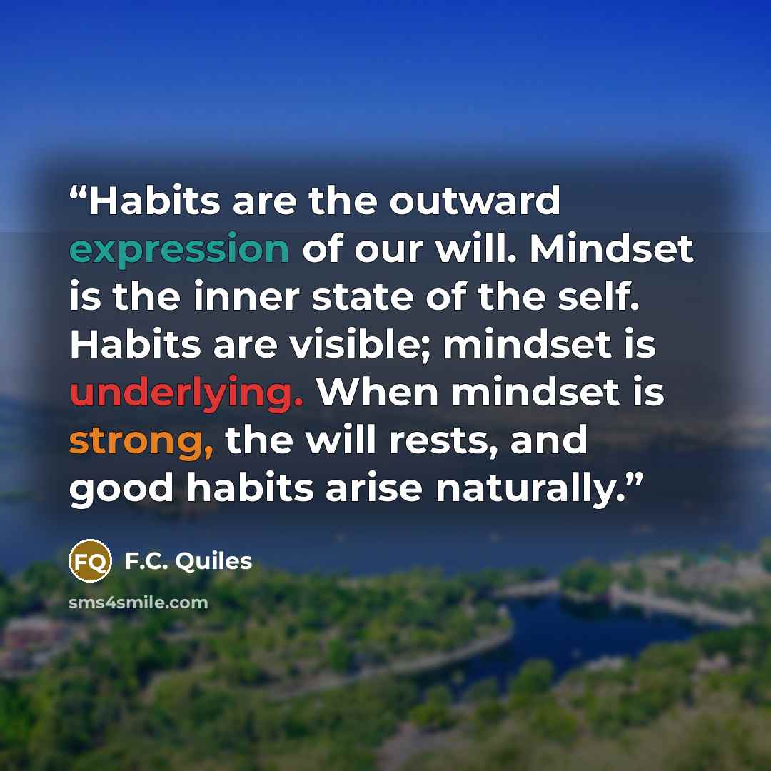 “Habits are the outward expression of our will. Mindset is the inner state of the self. Habits are visible; mindset is underlying. When mindset is strong, the will rests, and good habits arise naturally.” quote by F.C. Quiles