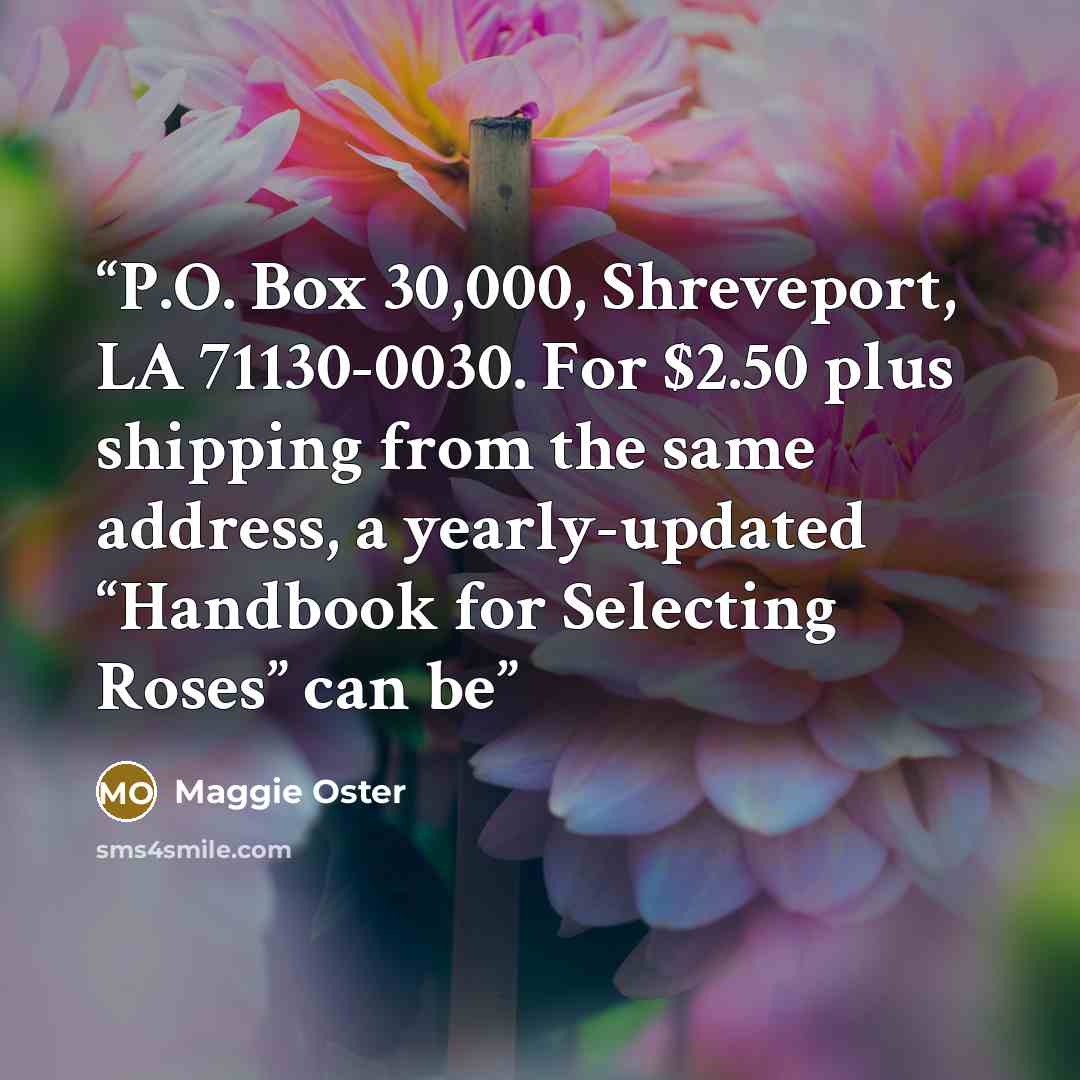 “P.O. Box 30,000, Shreveport, LA 71130-0030. For $2.50 plus shipping from the same address, a yearly-updated “Handbook for Selecting Roses” can be” quote by Maggie Oster