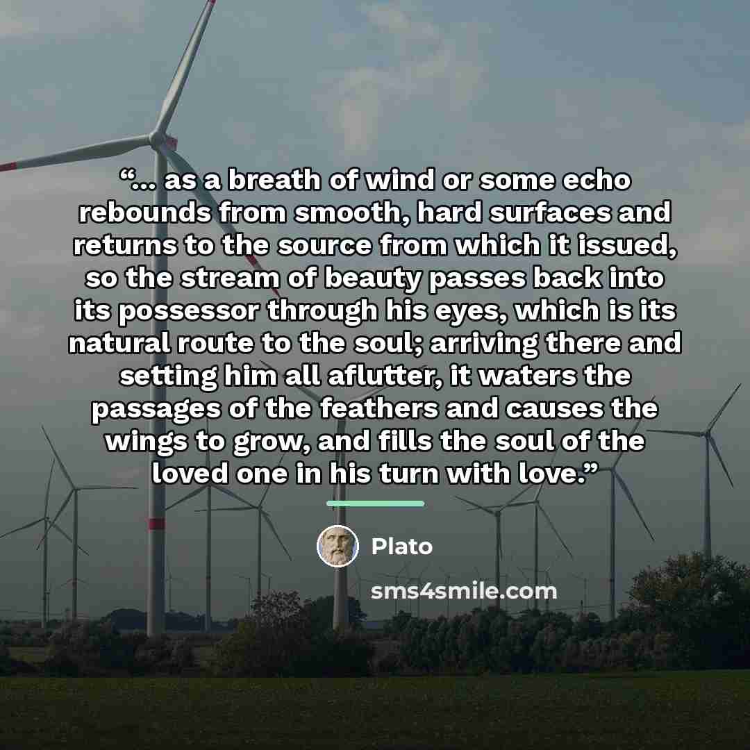 “... as a breath of wind or some echo rebounds from smooth, hard surfaces and returns to the source from which it issued, so the stream of beauty passes back into its possessor through his eyes, which is its natural route to the soul; arriving there and setting him all aflutter, it waters the…” quote by Plato
