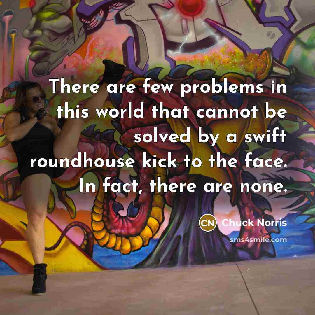 “There are few problems in this world that cannot be solved by a swift roundhouse kick to the face. In fact, there are none.” quote by Chuck Norris