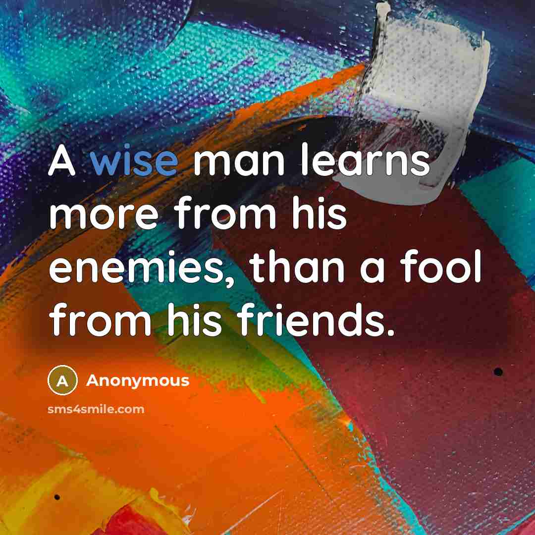 “A wise man learns more from his enemies, than a fool from his friends.” quote by Anonymous
