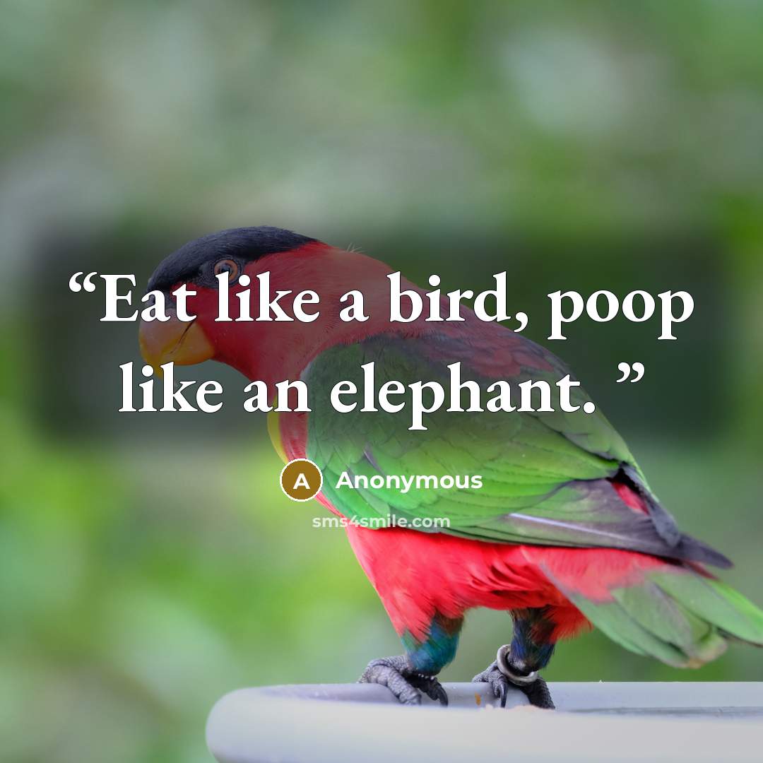 “Eat like a bird, poop like an elephant.” quote by Anonymous